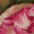 Предпросмотр схемы вышивки «Розы с каймой» (№759904)