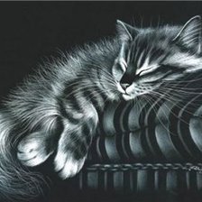 Оригинал схемы вышивки «коты» (№761456)