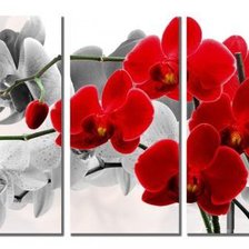 Оригинал схемы вышивки «Орхидея» (№765435)