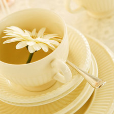 Оригинал схемы вышивки «чай из ромашки» (№769161)