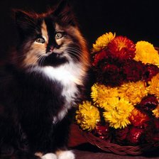 Схема вышивки «Котик и букет цветов»