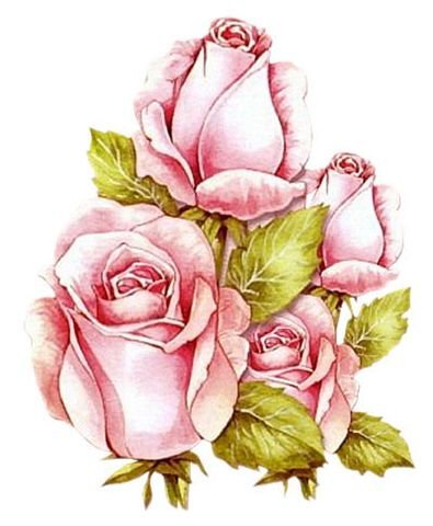 №771081 - цветы, розы - оригинал