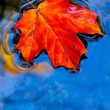 Схема вышивки «Осень. Отражение.»