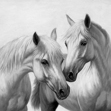 Схема вышивки «пара белых лошадей»
