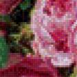 Предпросмотр схемы вышивки «розы» (№773053)