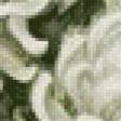 Предпросмотр схемы вышивки «хризантемы» (№773547)