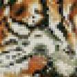 Предпросмотр схемы вышивки «Тигры» (№773561)