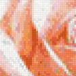 Предпросмотр схемы вышивки «Розы» (№773584)