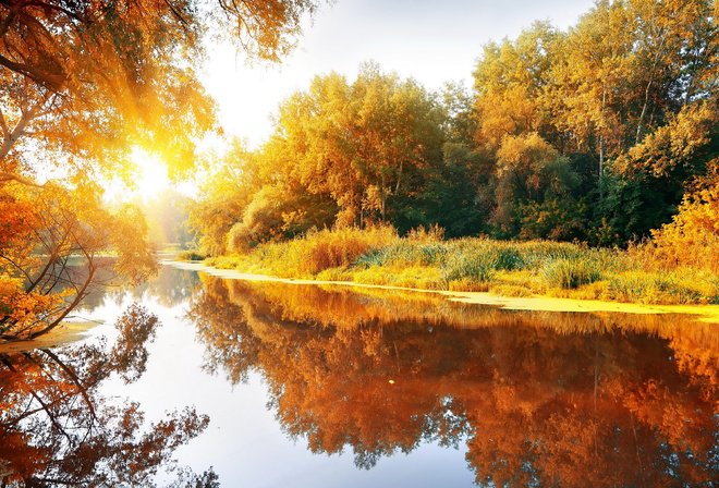осеннее утро - осень, утро, времена года, пейзаж, озеро, лес - оригинал