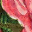 Предпросмотр схемы вышивки «Розы» (№776522)