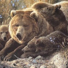 Схема вышивки «Медведица с медвежатами»
