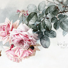 Схема вышивки «"Роза" от Ланарте»