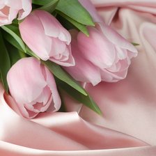Схема вышивки «розовые тюльпаны»
