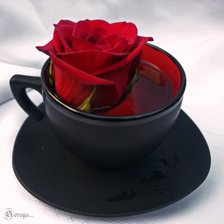 Схема вышивки «чай из розы»