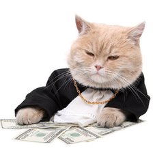Схема вышивки «кот милионер»