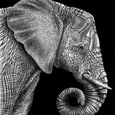 Оригинал схемы вышивки «Слон» (№787133)