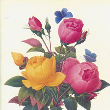 Оригинал схемы вышивки «розы» (№787828)