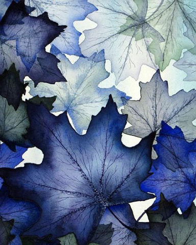 синие  листья - природа, лист - оригинал