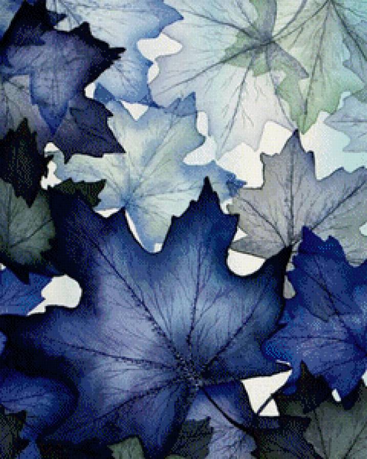 синие  листья - лист, природа - предпросмотр