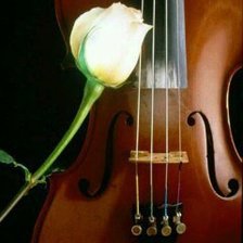 Схема вышивки «скрипка и роза»