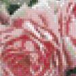 Предпросмотр схемы вышивки «Розы» (№805700)