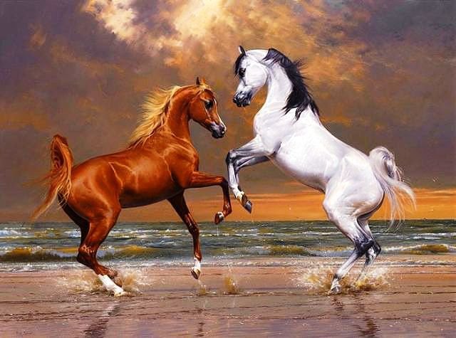Cерия"Прекрасные создания" - лошади, лошадь - оригинал