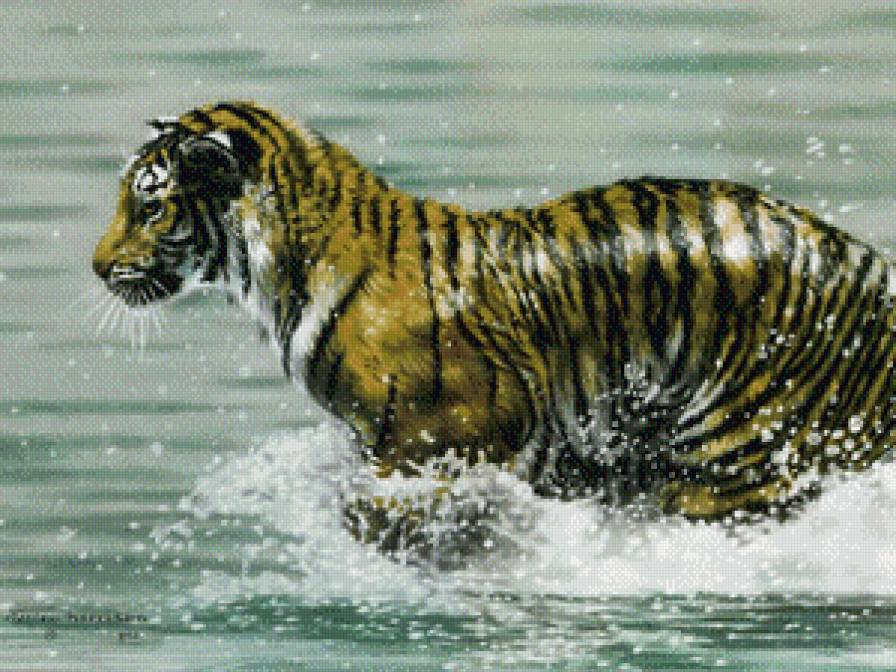 тигр - животное - предпросмотр