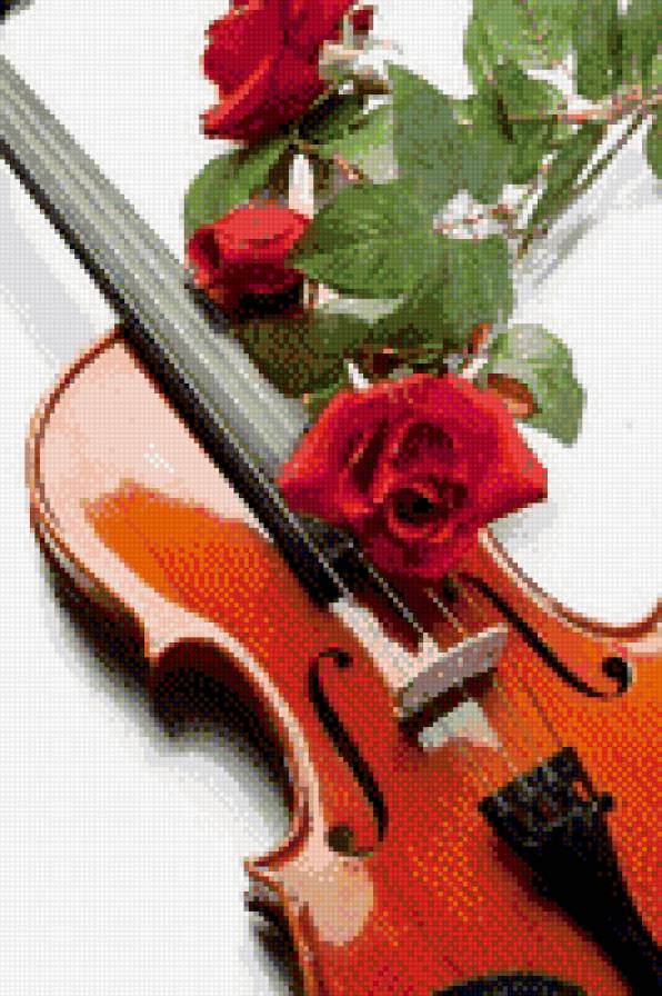 №810615 - цветы, розы, ноты, скрипка - предпросмотр