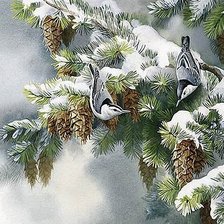 Схема вышивки «Зимние птицы»