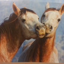 Схема вышивки «целующиеся лошадки»