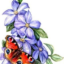 Оригинал схемы вышивки «Бабочка на цветах» (№814066)