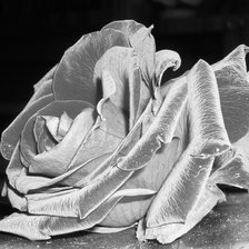 Схема вышивки «Роза маленькая»