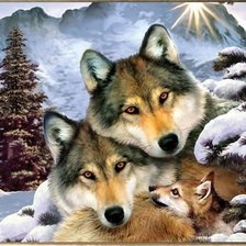 Схема вышивки «Волки и волчонок»