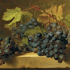 Схема вышивки «виноград на ветке»
