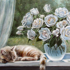 Розы и кот