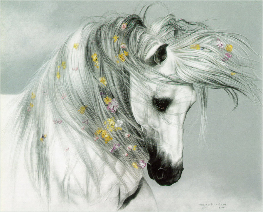 красивая лошадь - картина, лошадь, животные - оригинал
