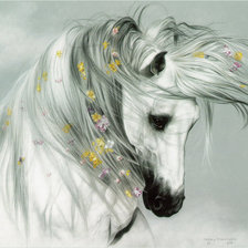 Схема вышивки «красивая лошадь»