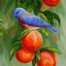 Схема вышивки «Птичка в персиках.»