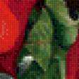 Предпросмотр схемы вышивки «красные розы с гранатом» (№831066)