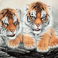 Оригинал схемы вышивки «Тигрята» (№834151)
