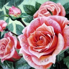Оригинал схемы вышивки «Прекрасные розы» (№844898)