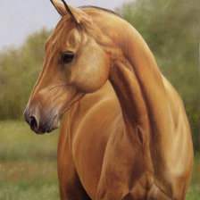 Оригинал схемы вышивки «Лошадь» (№845912)