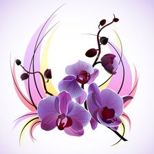 Оригинал схемы вышивки «Орхидея» (№848062)