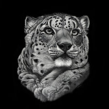 Схема вышивки «Леопардушка»