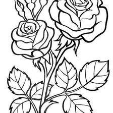 Схема вышивки «роза рисунок»