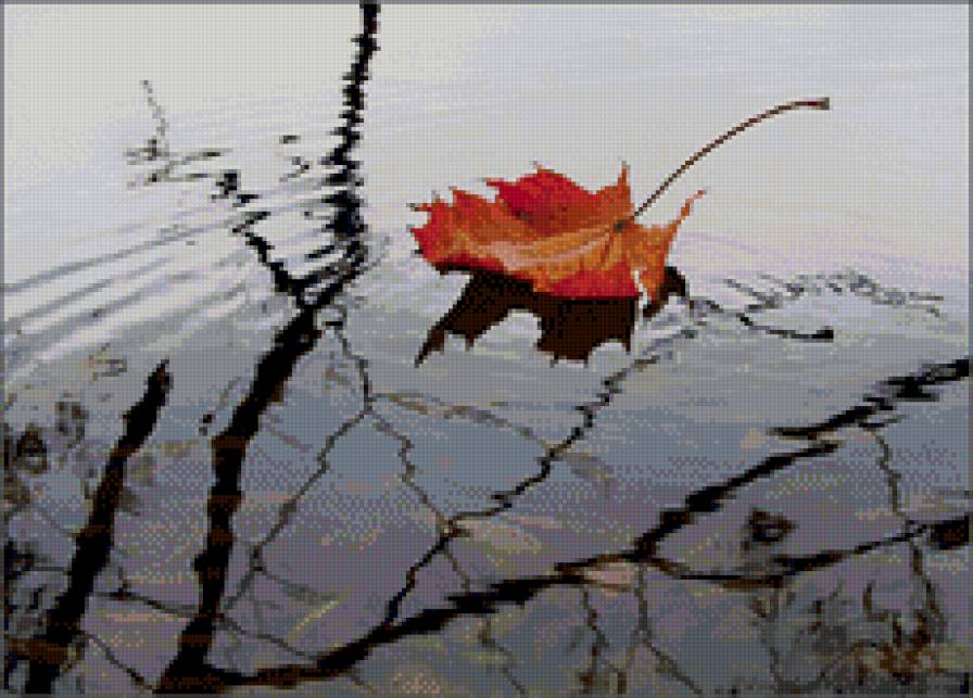 Кленовый лист - осень, река, природа - предпросмотр