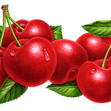 Схема вышивки «Cherry»