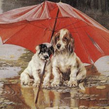 Схема вышивки «Собаки под дождем»