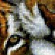 Предпросмотр схемы вышивки «Тигры» (№861397)