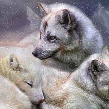 Схема вышивки «белые волки»